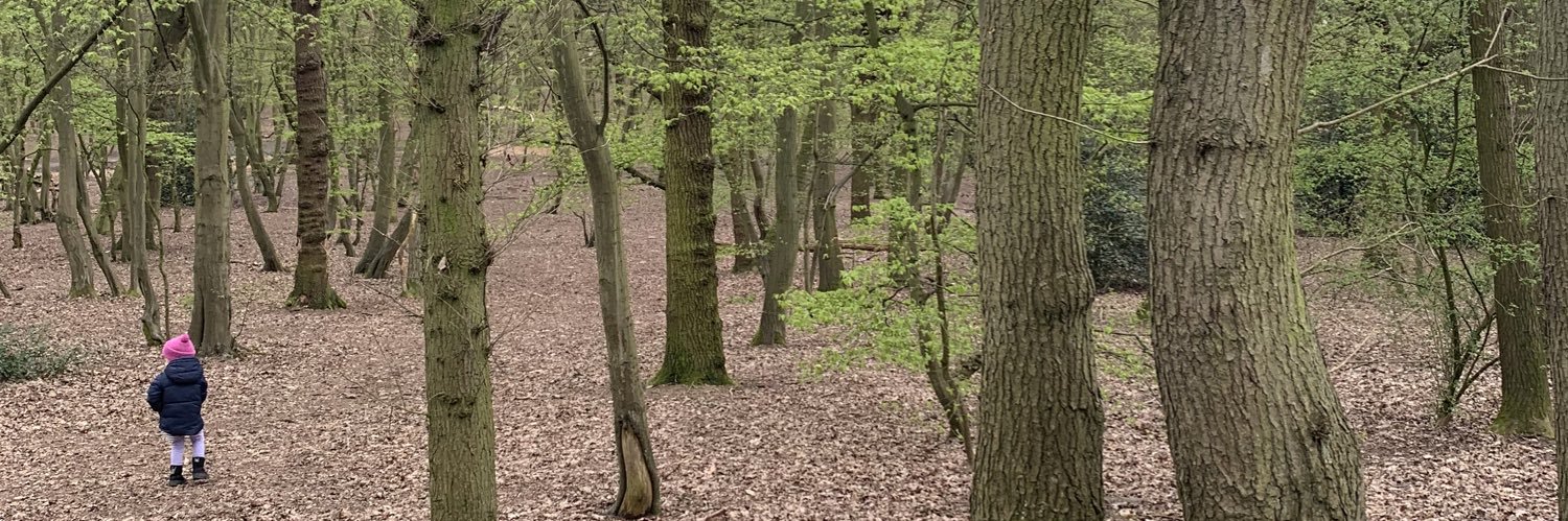 David Hellqvist banner