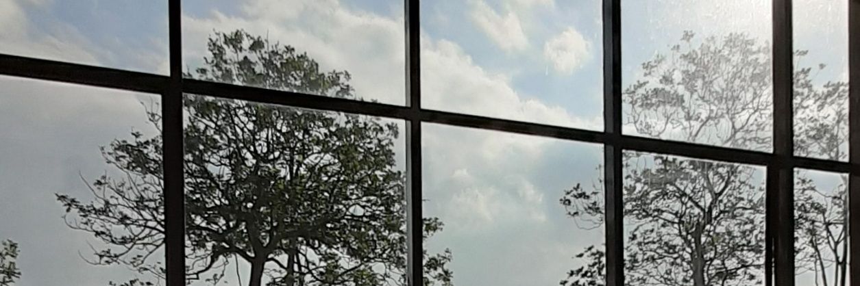 LystLyst's profile banner image