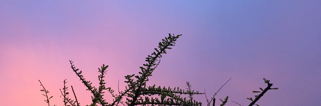 extermal's profile banner image