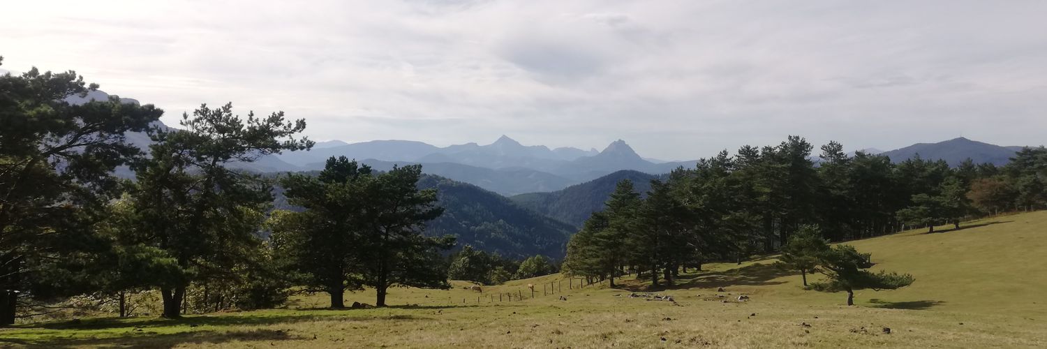 maddiM_'s profile banner image