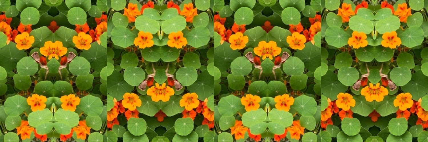 plumstickle's profile banner image