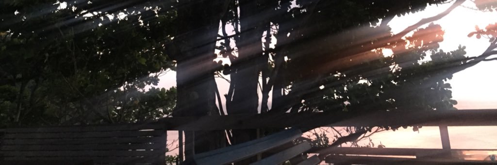 ratukica's profile banner image