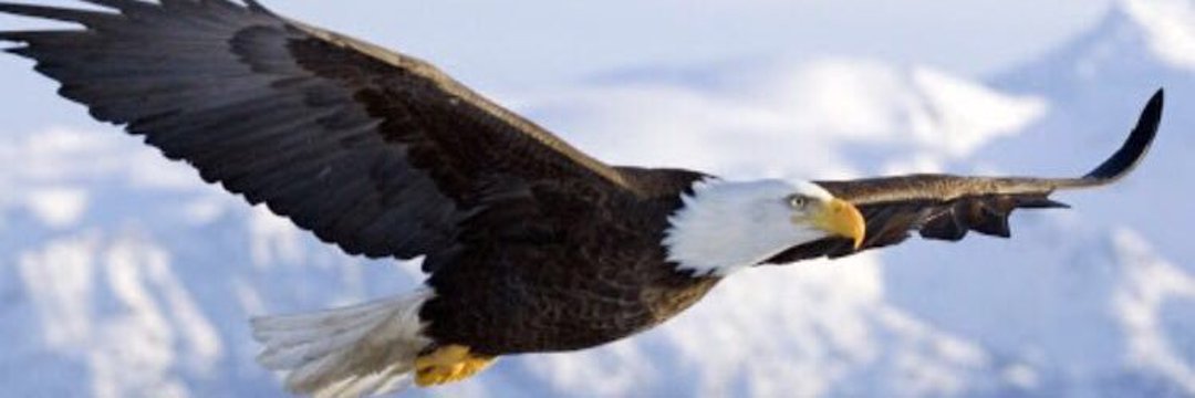 msalihdmn's profile banner image