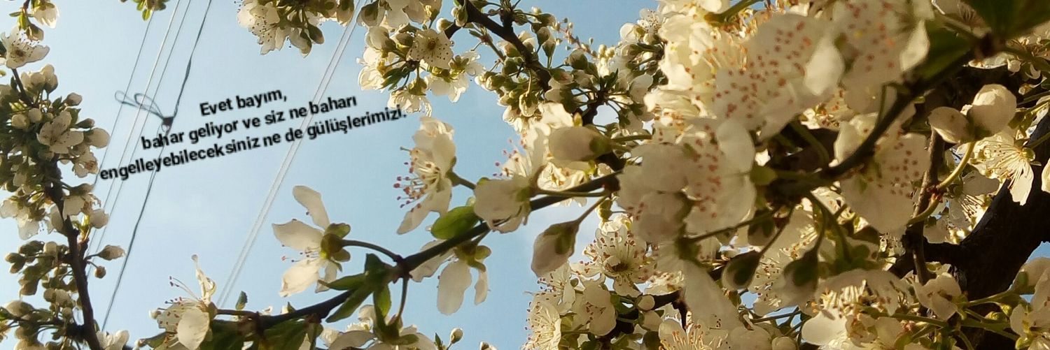 Buse_Cetiner's profile banner image