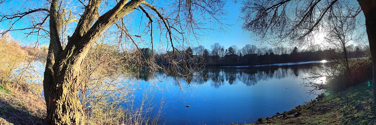 👨‍🦯👨‍🦽 ZeroDot1🍀 @zerodot1.bsky.social banner