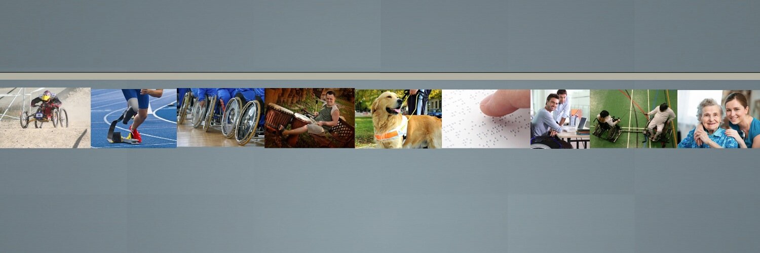 Disability Online banner