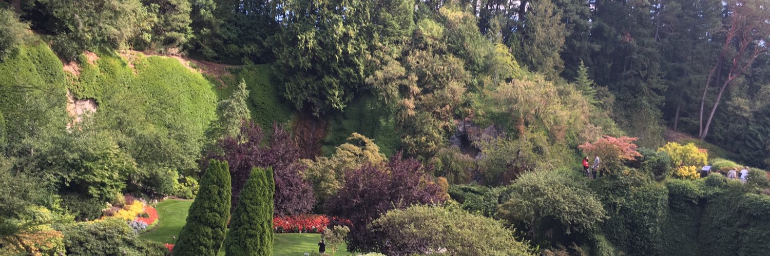 Mabel20061's profile banner image