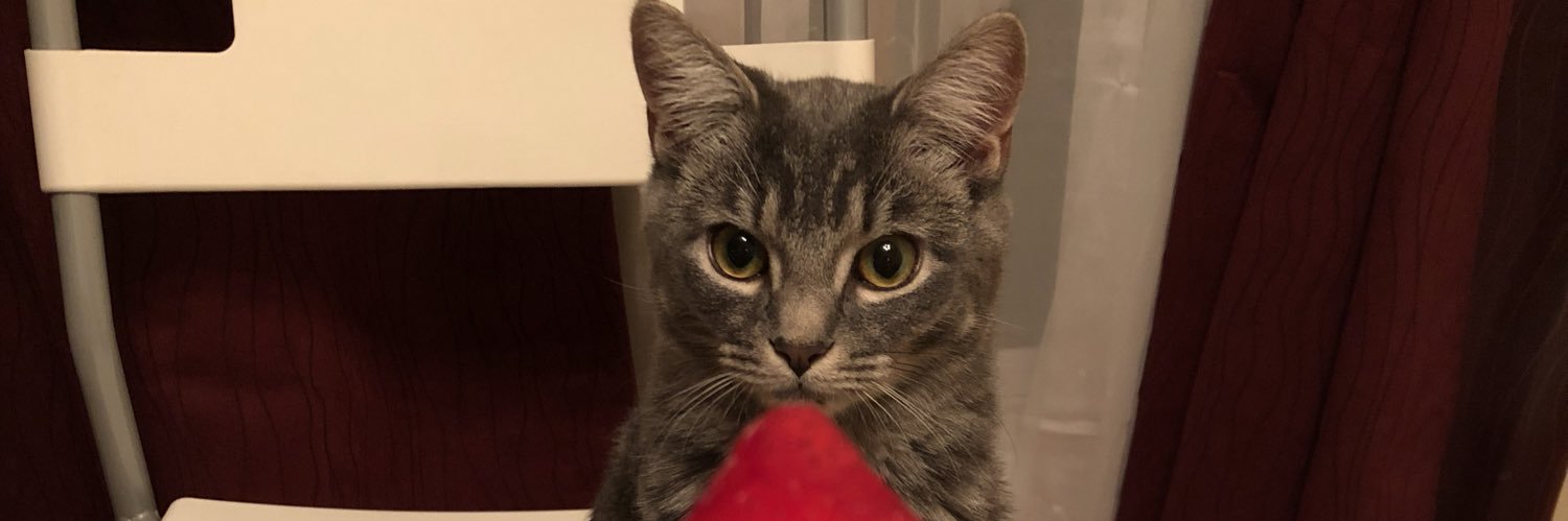 littlesandyhe's profile banner image