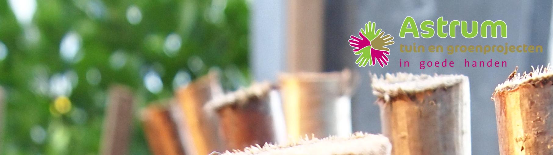 WibovanNoort's profile banner image