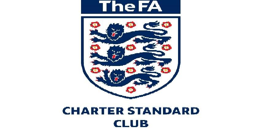 Crawley Panthers FC banner
