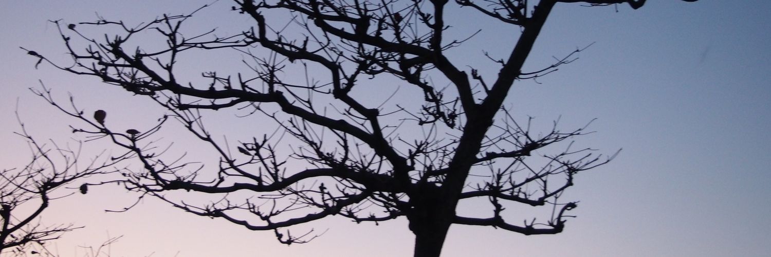 tyuri_sun's profile banner image