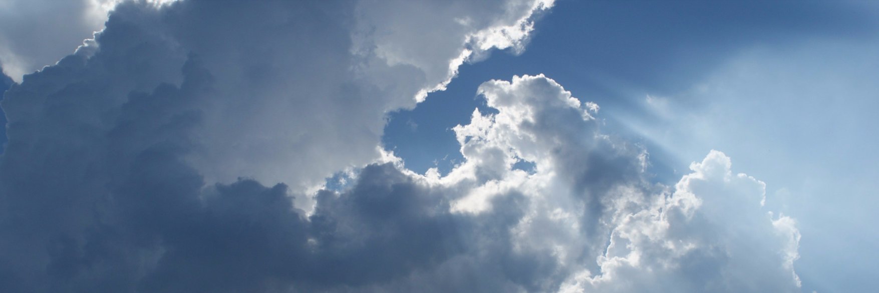 Floriane. banner