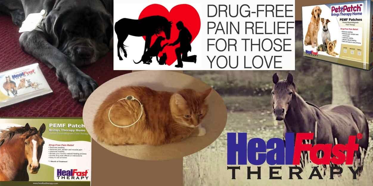 healfasttherapy's profile banner image