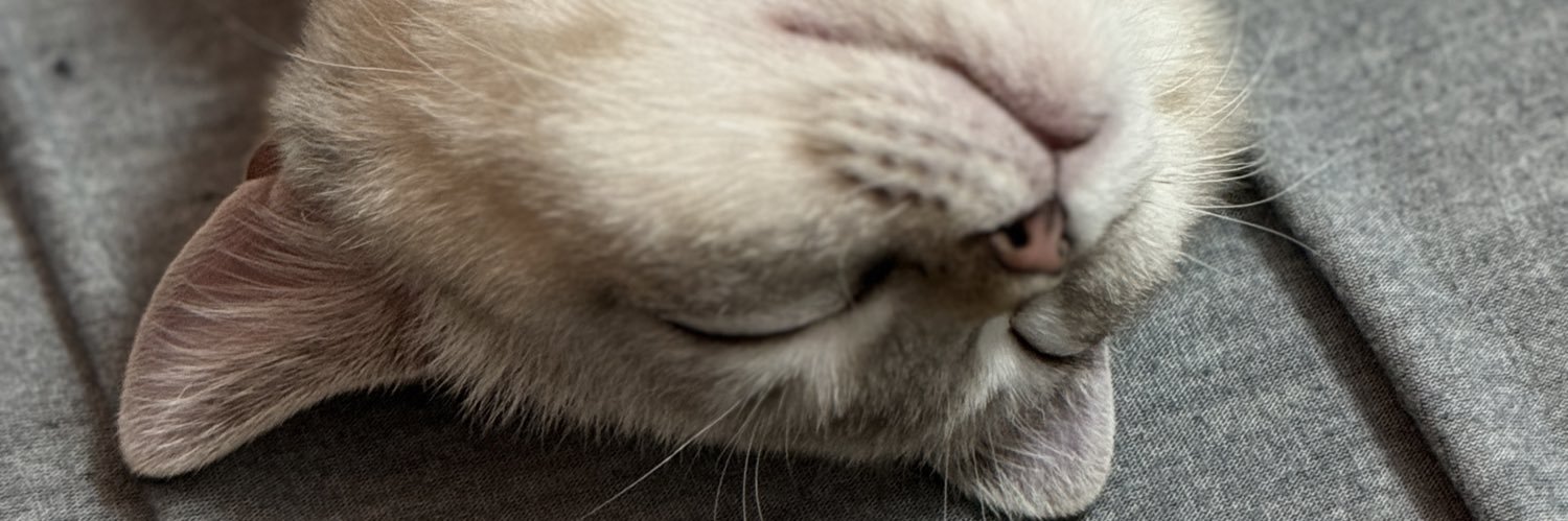 MustafaSayhan's profile banner image
