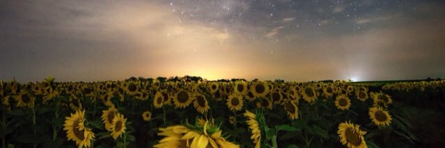 AnneSchmidling's profile banner image