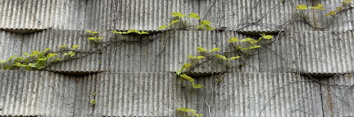 kingcert's profile banner image