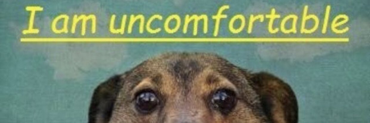 nocaresgiven's profile banner image