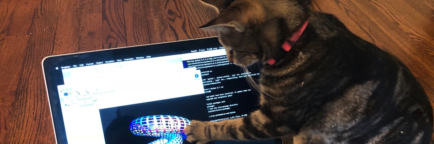 Albert Webson banner