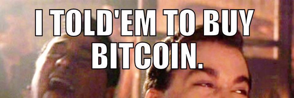 TulipsforBTC's profile banner image