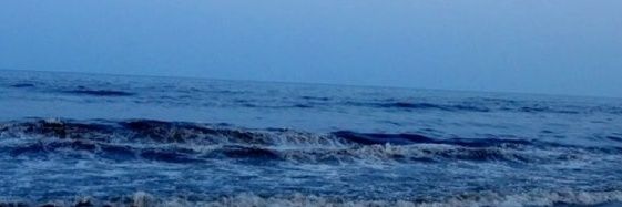 sea_223's profile banner image