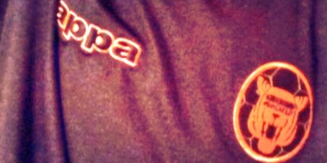 fneltoft's profile banner image