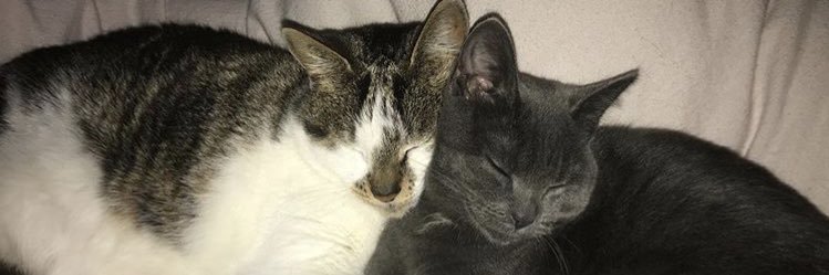 ormurray's profile banner image
