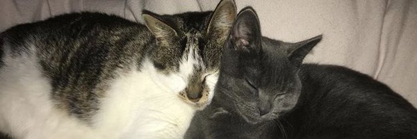 ormurray Profile Banner