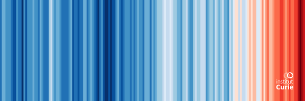 CaroGiu Profile Banner