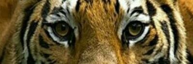 RebecaLup's profile banner image