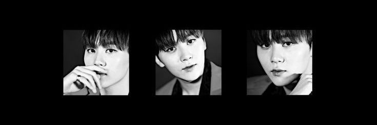 pledies_boos's profile banner image
