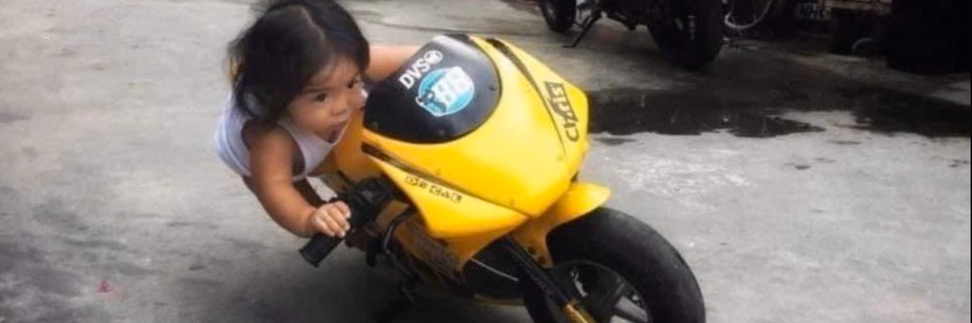 danek danielle banner