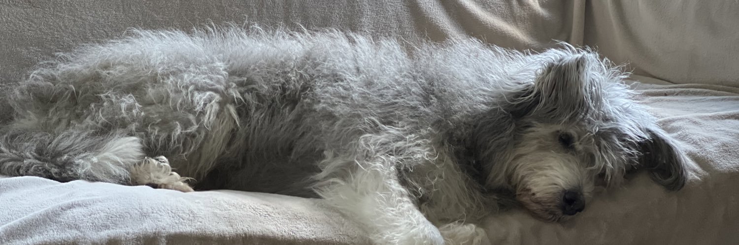 Cognitive Dissonance banner