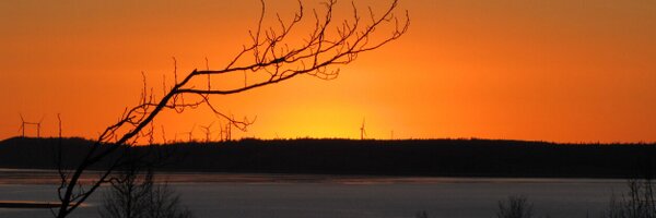 loobatron Profile Banner