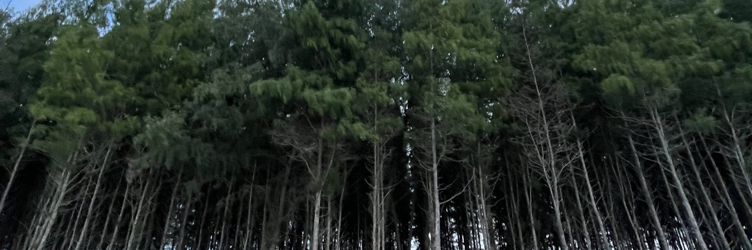 dizul_'s profile banner image