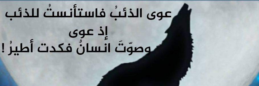 II40II's profile banner image