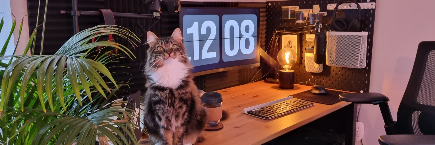 zenithquinn's profile banner image