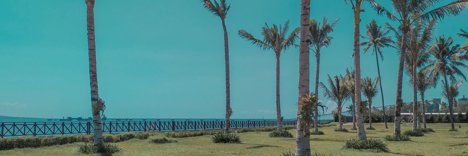 irzalfd's profile banner image