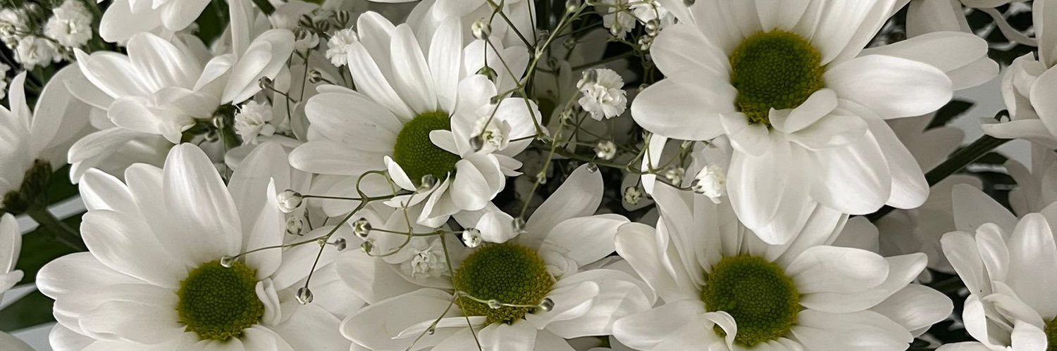 24_maarii's profile banner image