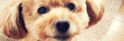 _erihana's profile banner image