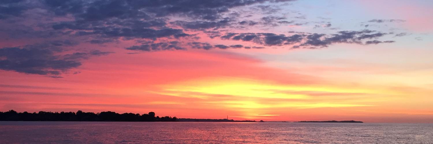 taylor_puccella's profile banner image
