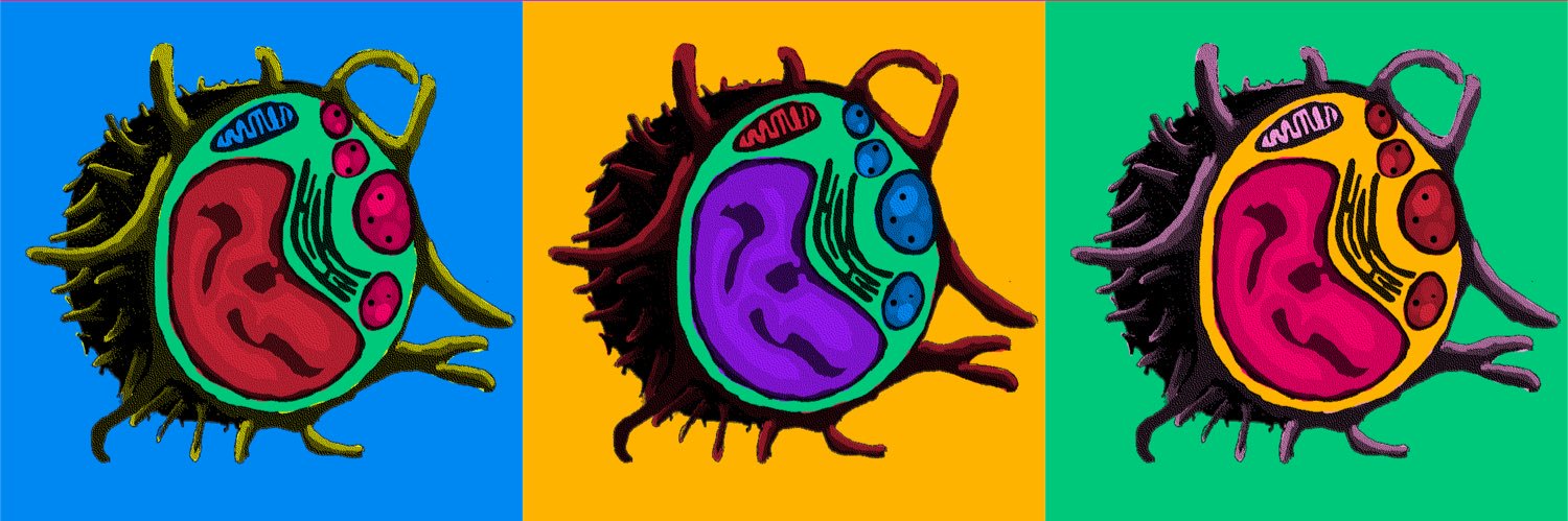 Luca Cassetta banner