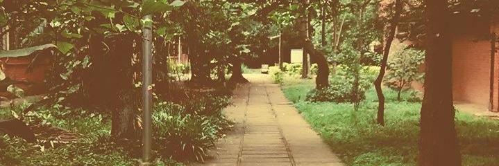 Laari_Ferre's profile banner image