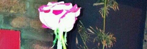 fla_daher's profile banner image