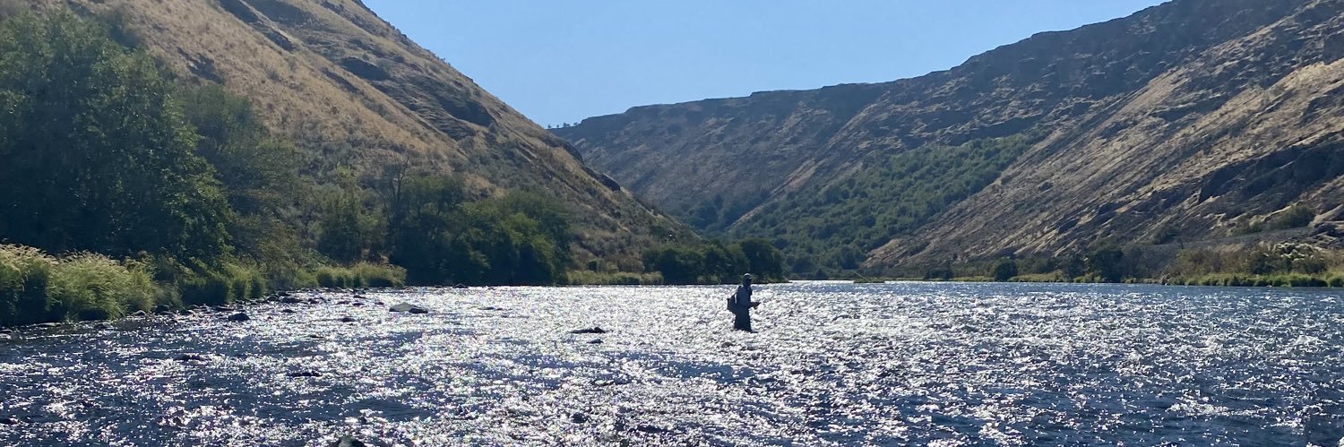 Undistinguished Mediocrity banner