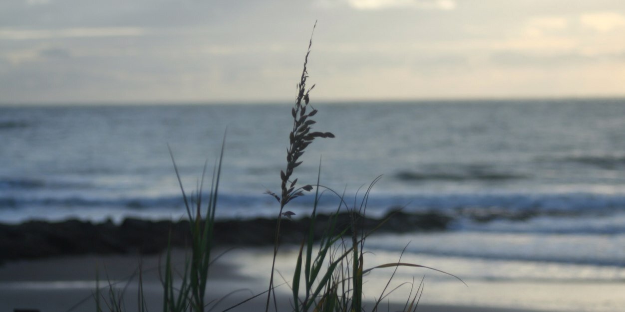 SabrinaBelcher's profile banner image