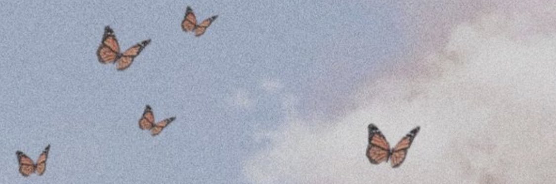 laurenfrulloo's profile banner image