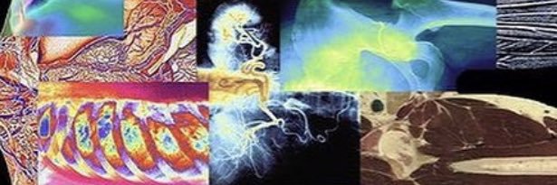 🇸🇦Dr. Talal Alotaibi | د. طـلال العتيبي banner