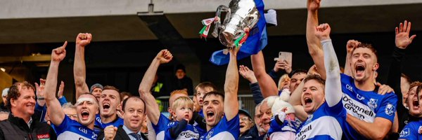 SarsfieldsCork Profile Banner