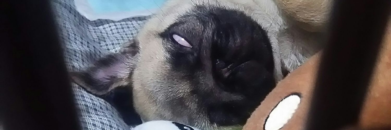 guk_kug's profile banner image