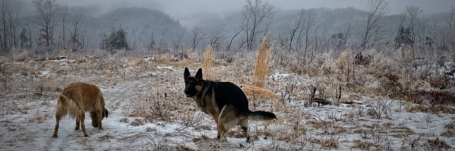 Ethan_Persinger's profile banner image